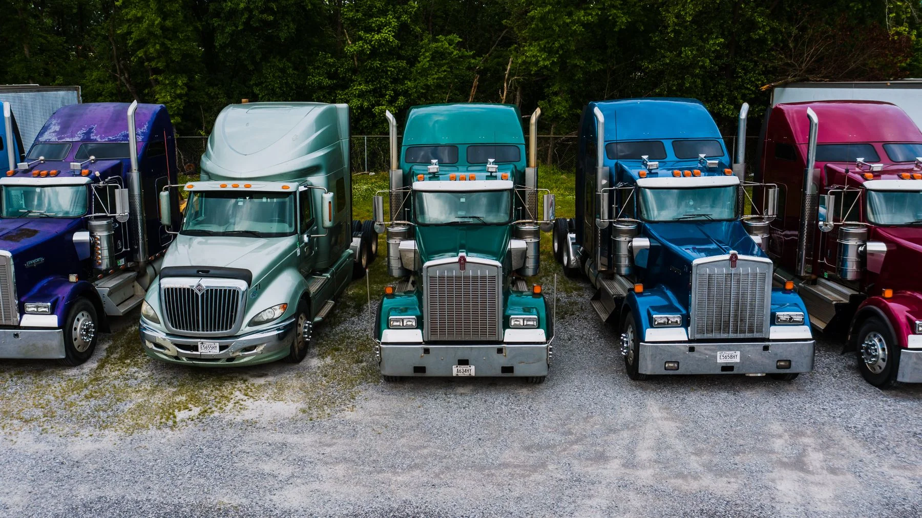 Colorful conventional semi-trucks parked in a row in front of leafy trees.